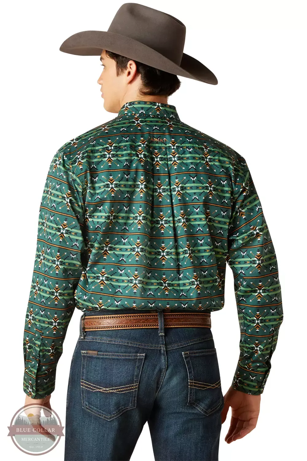 Ariat Clothing Men's Classic Fit Long Sleeve Shirt in Green Print